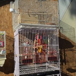 Bird Cage. San Mateo.  Ask For Price. 