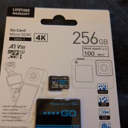 256 GB Go Card And Micro SDXC 