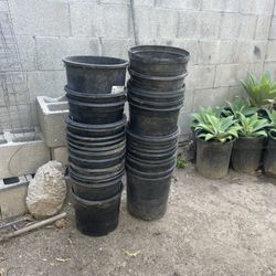 5 Gallon Pots