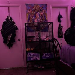 Critter Nation Cage 