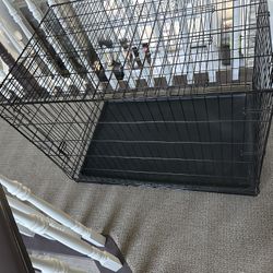 Dog Cage Large Breed