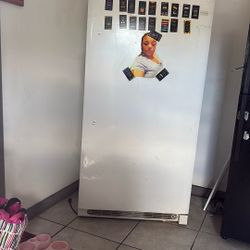 Upright White Deep Freezer 