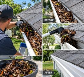 Gutter cleaning $125 for single story