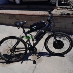 1000w Ebike