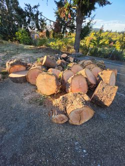 Free firewood
