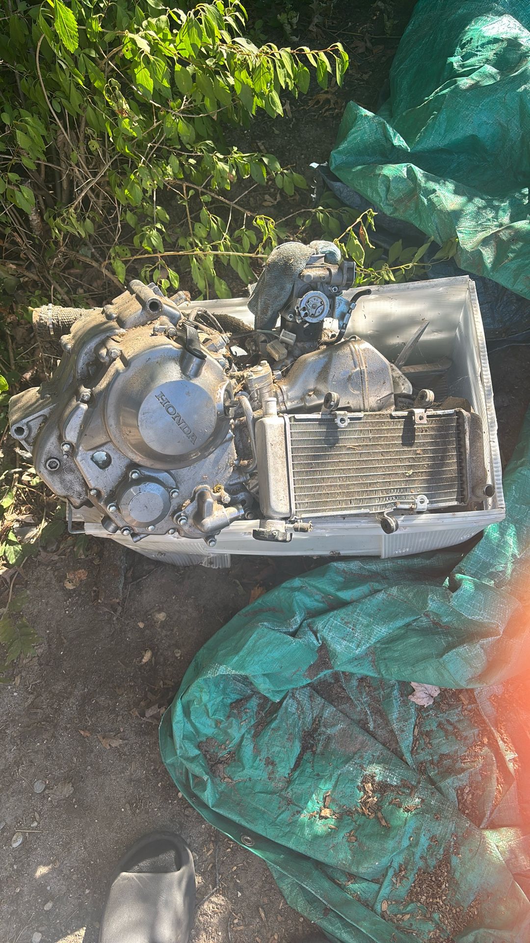 Honda Cbr 300 