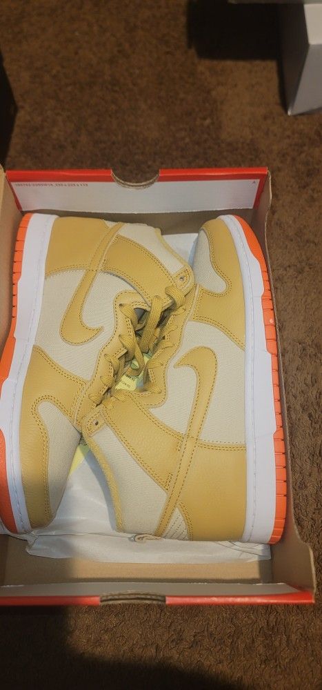 Brand New NIKE DUNKS $60