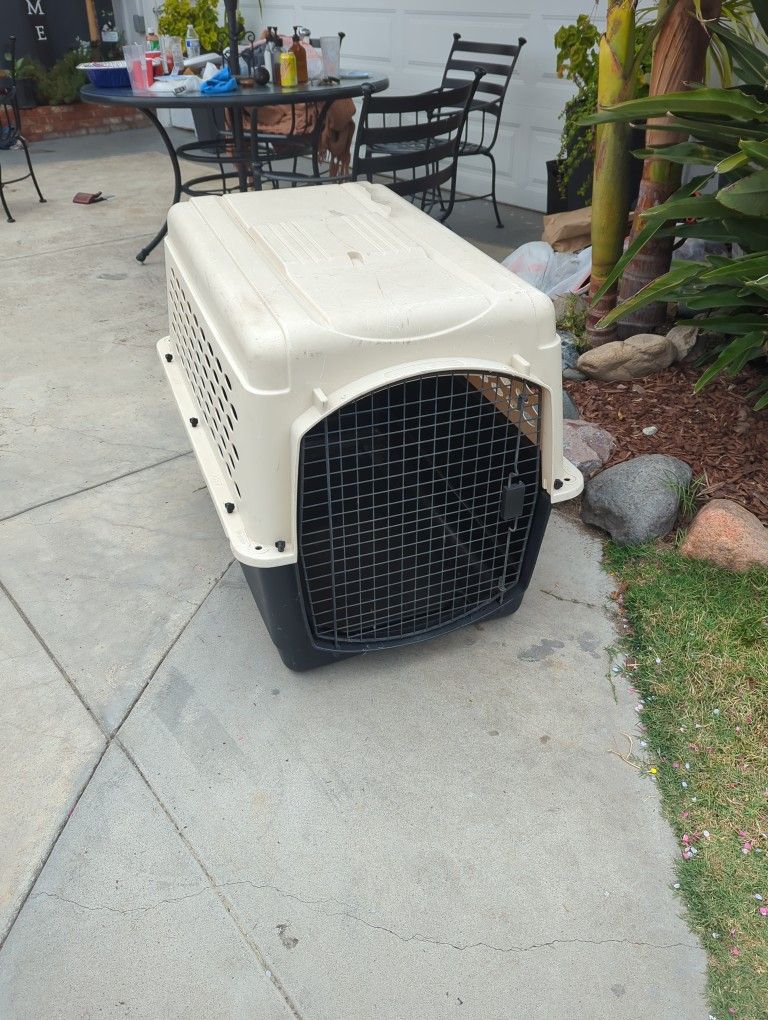 Medium Size Pet Carrier