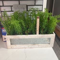 Artificial Plant