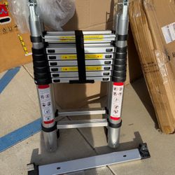 Telescoping Collapsible Ladder