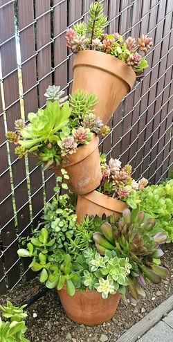Large Tilted Succulent Pots #1