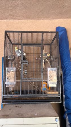 cockatiel cage