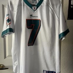Miami Dolphins Jersey, While, XL