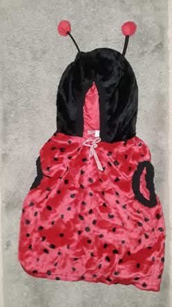 Child size ladybug costume