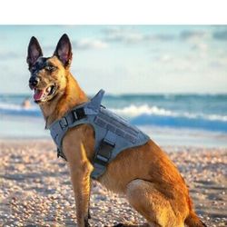 Rabbitgoo Tactical Harness 