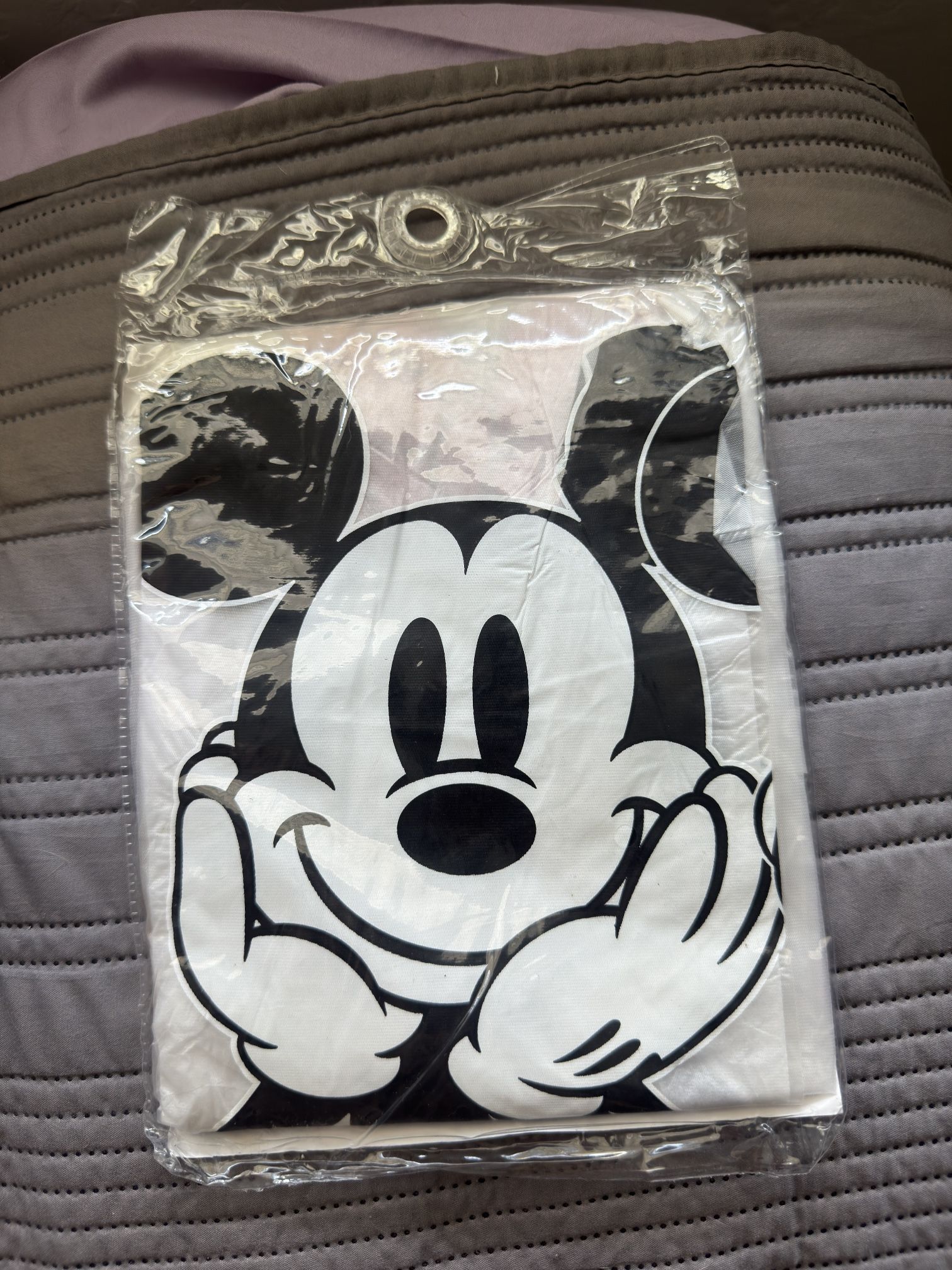 Disney Mickey Raining Coat Poncho