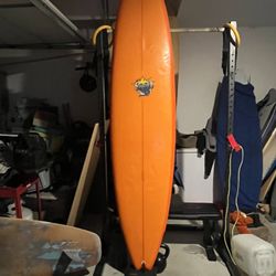 8’4 Neil Morgan Wing Swallow Speed Egg