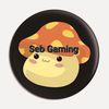 Seb Gaming
