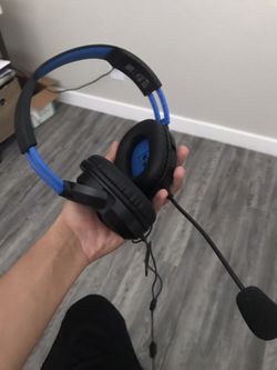TurtleBeach Headset