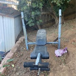 Competitor Weight Bench