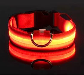 Dog Collar Red LED Light-Up
