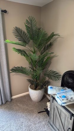 Plant