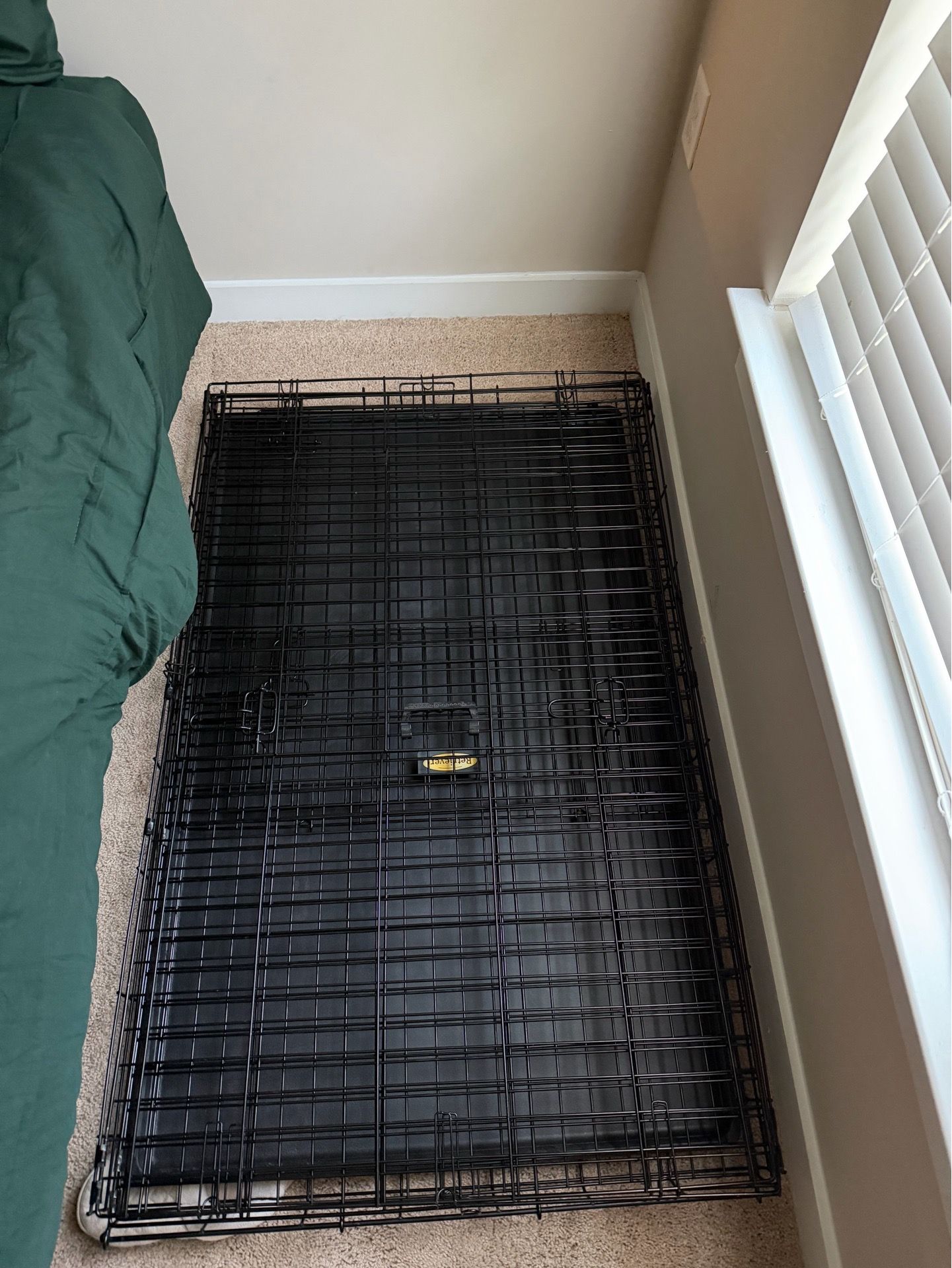 XL dog crate, large beds, and water/food bowl
