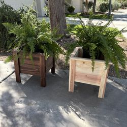 Cedar Outdoor Plant Boxes