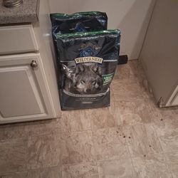 2 Blue Buffalo Big Bags