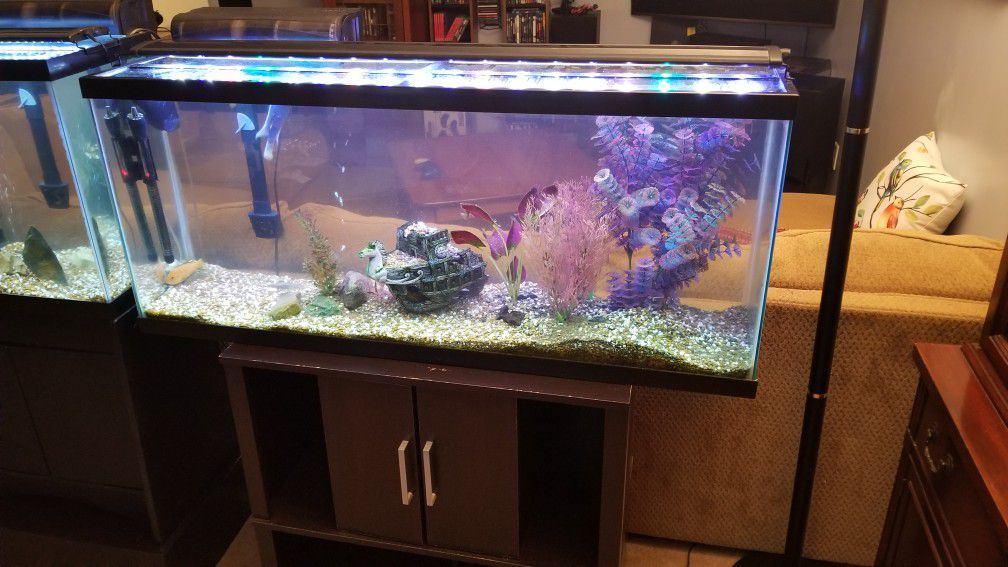2 -55 gallon fish tanks $250 each obo