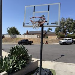 FREE BASKETBALL HOOP