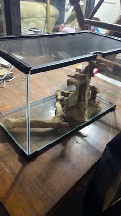 10 gallon lizard tank