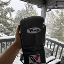 Winning Boxing Gloves