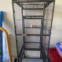 Large Bird Flight Cage