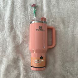 Stanley x Elf 40oz Collab Tumbler - Coral Fixation