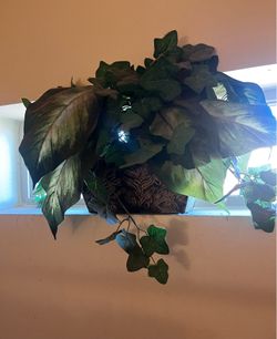 fake plant decor