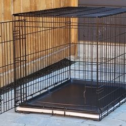 Dog kennel (FREE!)