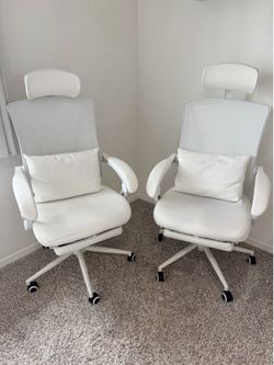 Ergonomic Office Chairs ($100 each)