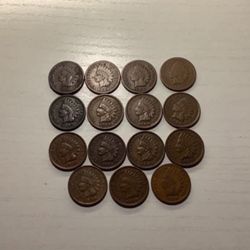 Lot of 15 all different date Indian head Cents including 1880/84/88/95/97/98/1900/01/02/03/04/05/06/07/1909 grades range all nice coins some even bein