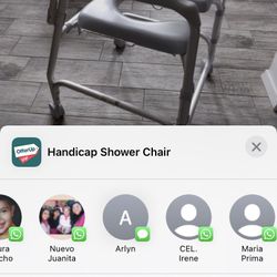 Handicap Shower Chair