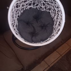 Cat Swing