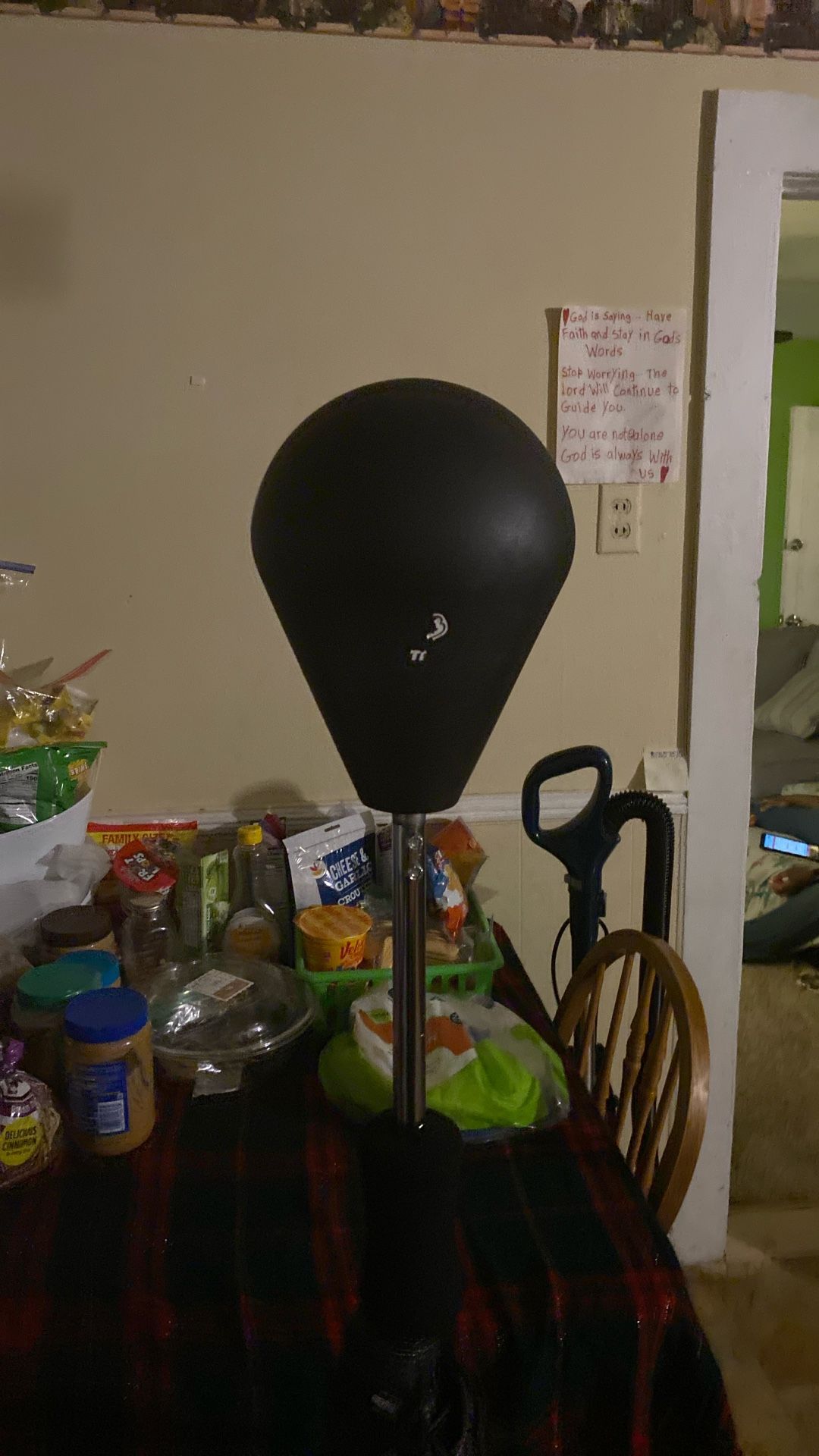 Boxing Stand With Gloves That Come Alone With It