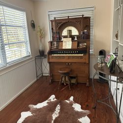 Antique Peddle Organ - OBO