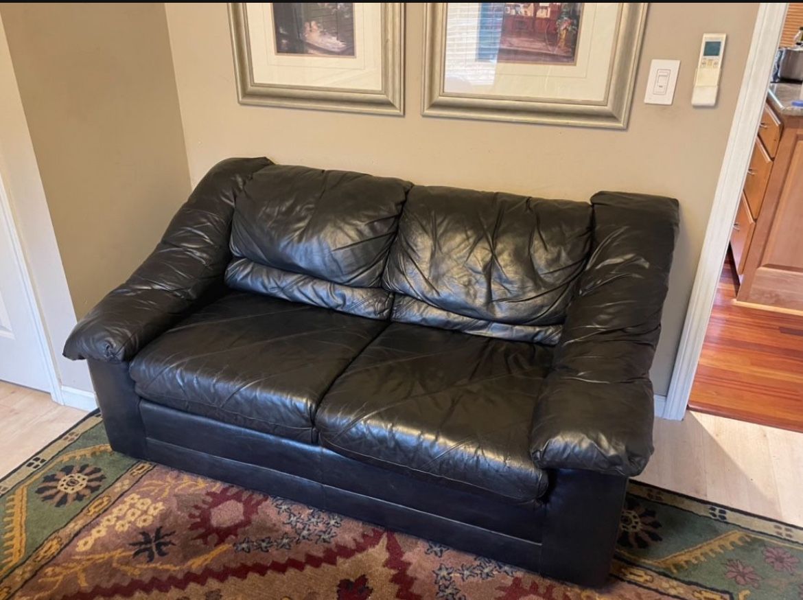 Leather Sofa Love Seat