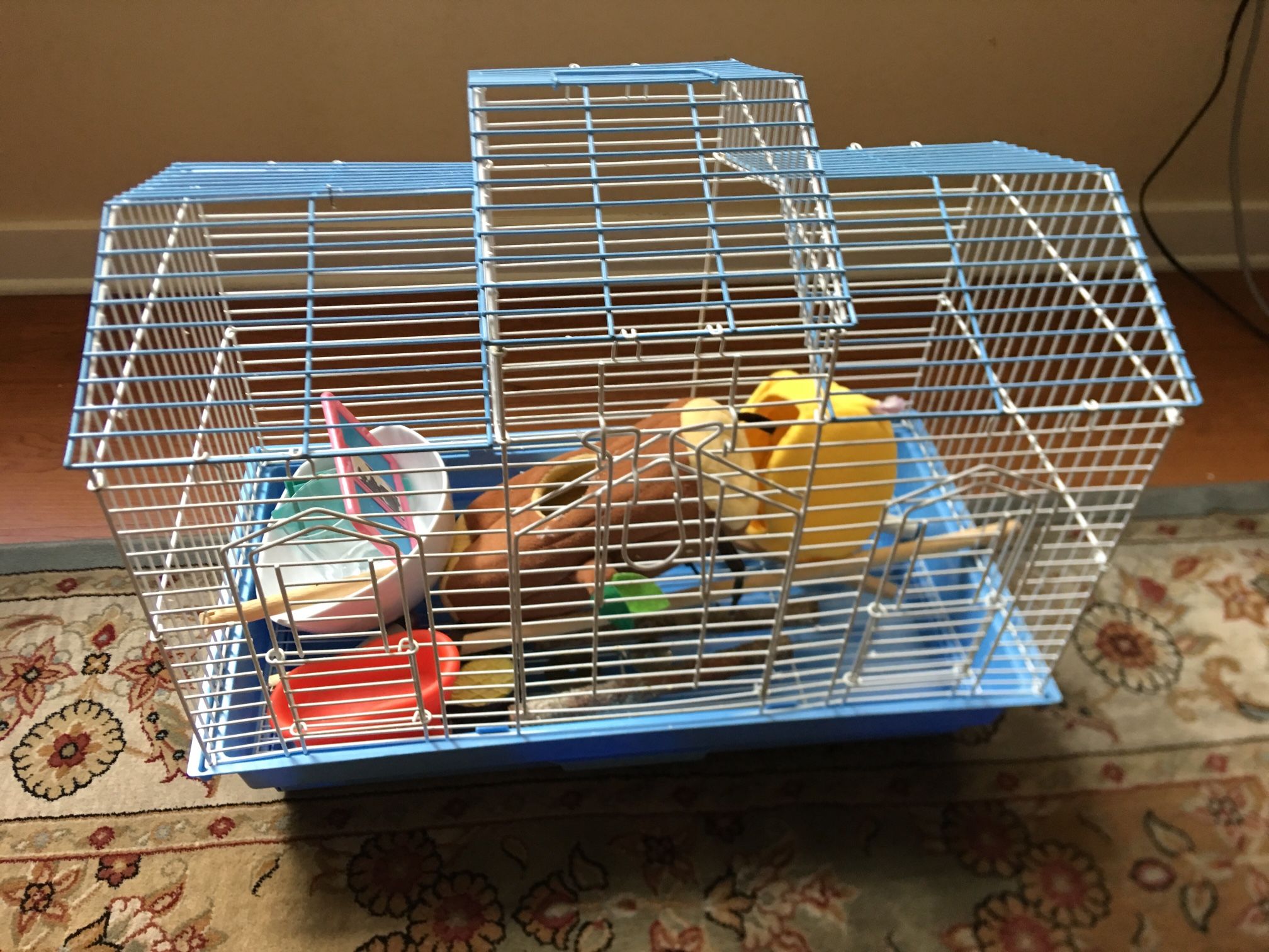 Bird Cage, Perches, & Toys