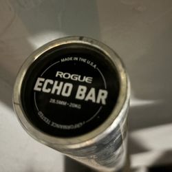Rogue Echo Bar