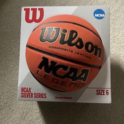 Wilson Women’s basketball size 6 silver series *brand new*