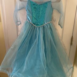 Elsa Halloween Costume