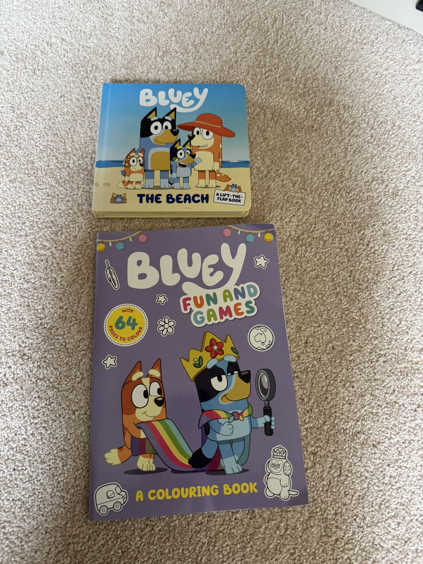 Kids Bluey Book And Coloring  