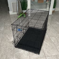 Cage For Dogs 